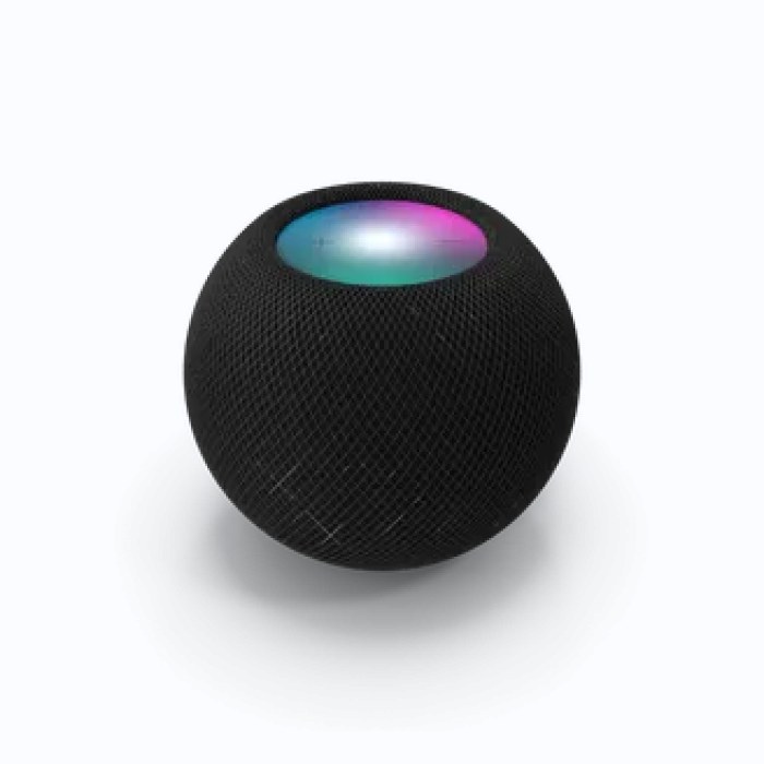 Apple HomePod Mini 宇宙灰