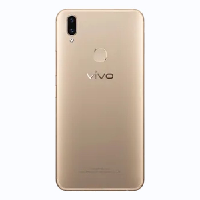 体内V9