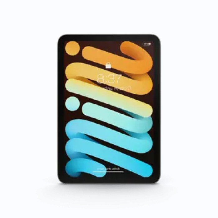 iPad Mini 2021 星光版
