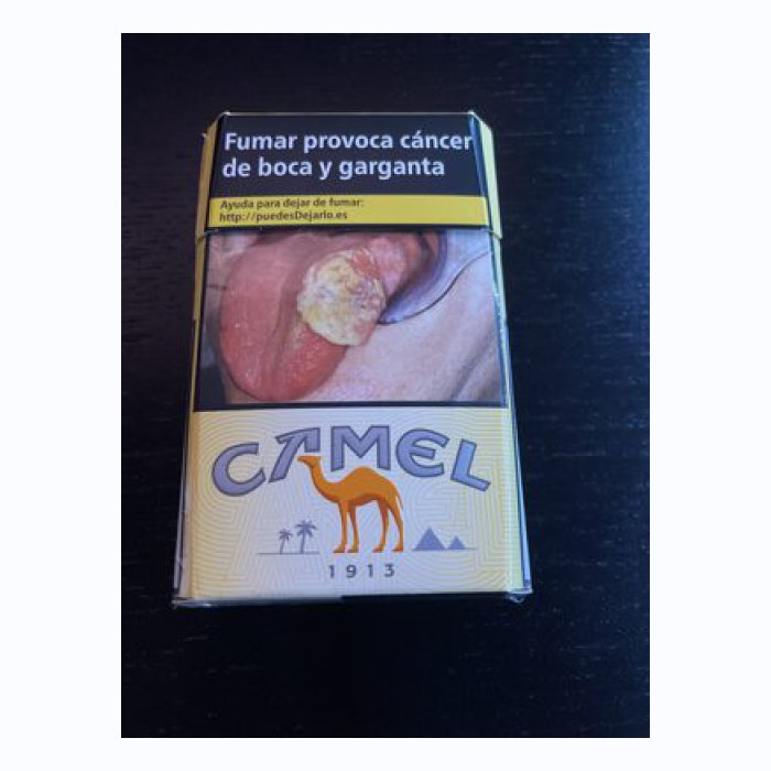 Camel