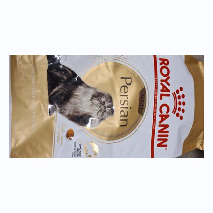 皇家犬成年波斯