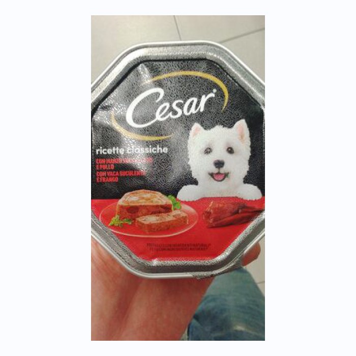 Cesar