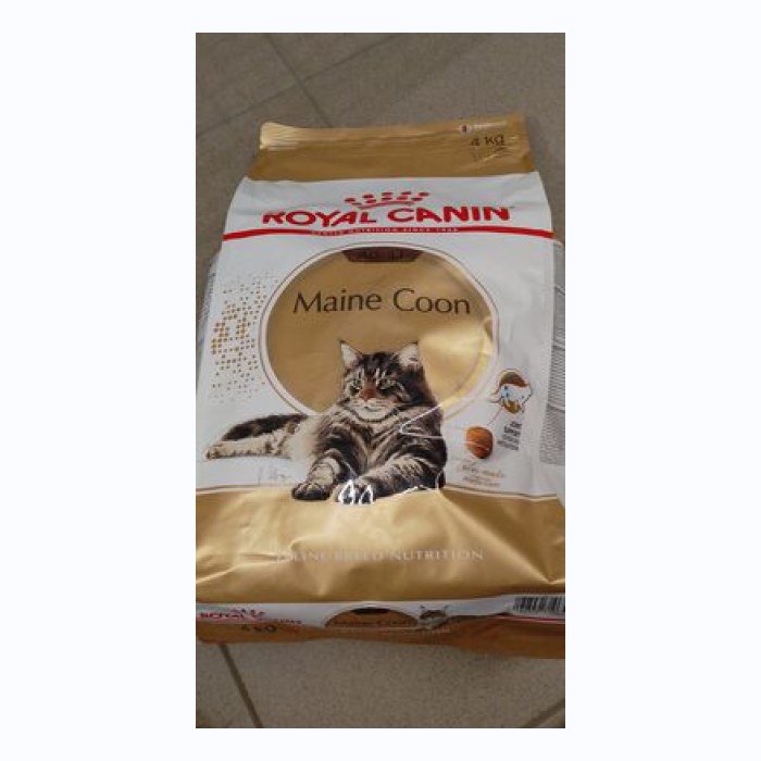 皇家缅因猫